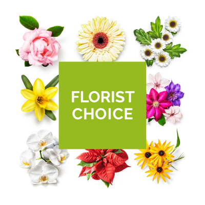 Florist choice Aqua Pack - A beautiful selection of flowers selected by our talented florists using a lovely mix of fresh flowers available that day.